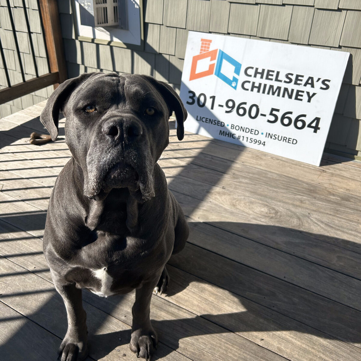 Chelseas Chimney Supporting Community