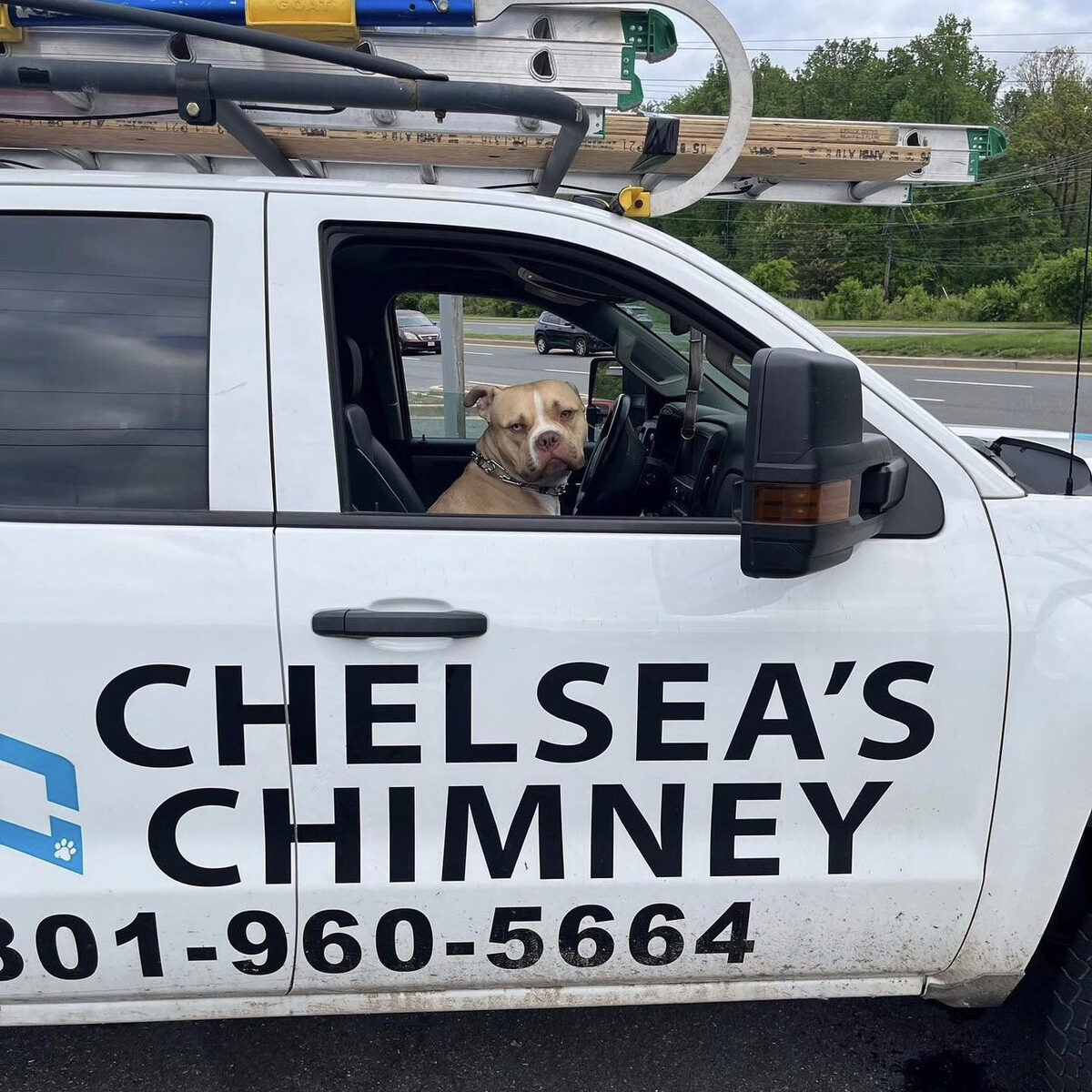 Chimney Repair company on MD