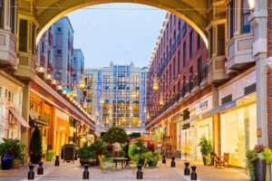 Level 2 Chimney Inspection