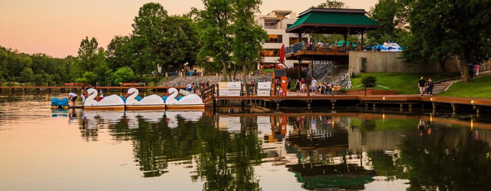 columbia md chimney repair